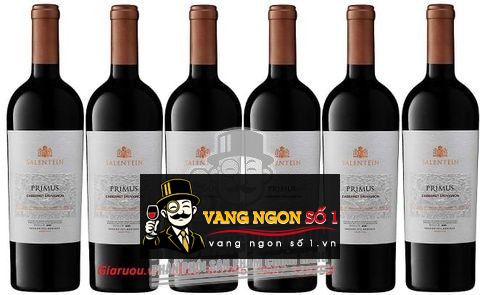 BÁN VANG ARGENTINA SALENTEIN PRIMUS CABERNET SAUVIGNON GIÁ RẺ NHẤT