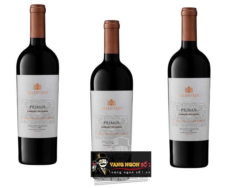 Kết quả hình ảnh cho ARGENTINA salentein primus malbec