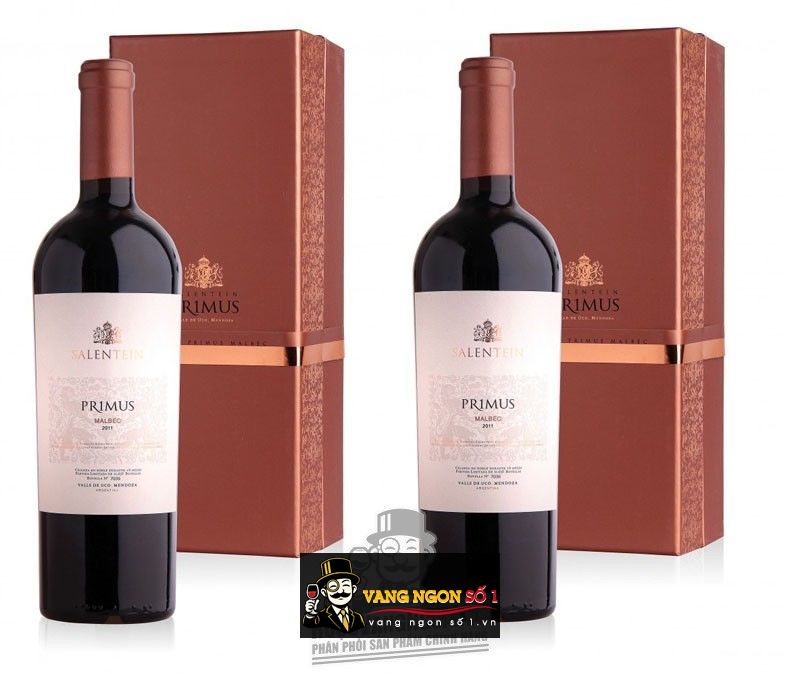 Kết quả hình ảnh cho ARGENTINA salentein primus cabernet sauvignon