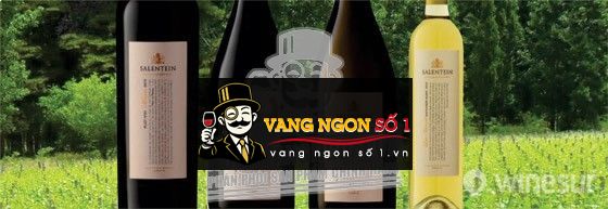 Kết quả hình ảnh cho argentina single vineyard malbec salentein