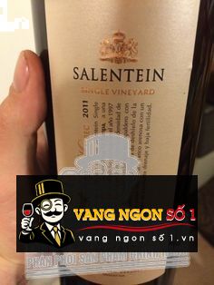 Kết quả hình ảnh cho argentina single vineyard malbec salentein