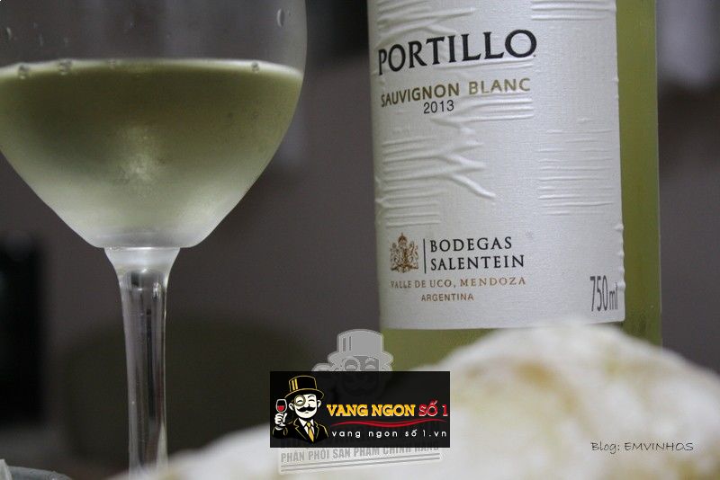 Kết quả hình ảnh cho vang argentina portillo sauvignon blanc salentein