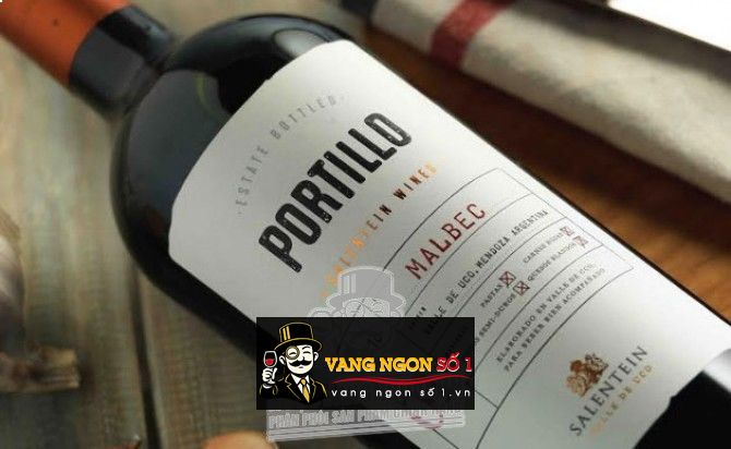 Kết quả hình ảnh cho vang argentina portillo malbec salentein