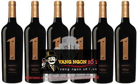 PHÂN PHỐI RƯỢU VANG ARGENTINA 1 MALBEC ANTIGAL GIÁ RẺ NHẤT