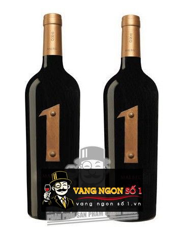 Kết quả hình ảnh cho vang argentina 1 malbec antigal