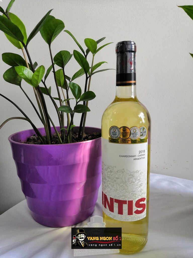 Kết quả hình ảnh cho vang argentina argentina intis CHARDONNAY CHENIN