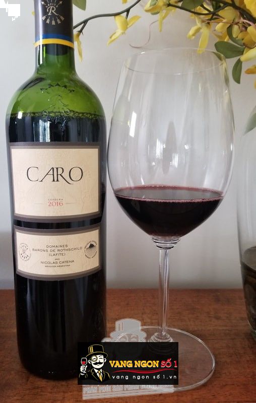 Kết quả hình ảnh cho ARGENTINA CATENA ROTHSCHILD CARO