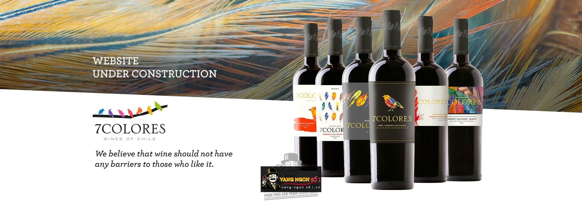 Káº¿t quáº£ hÃ¬nh áº£nh cho vang chile 7 colores