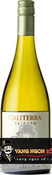 Kết quả hình ảnh cho caliterra tributo sauvignon blanc