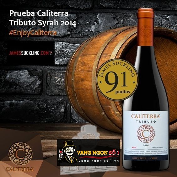 Kết quả hình ảnh cho caliterra tributo syrah