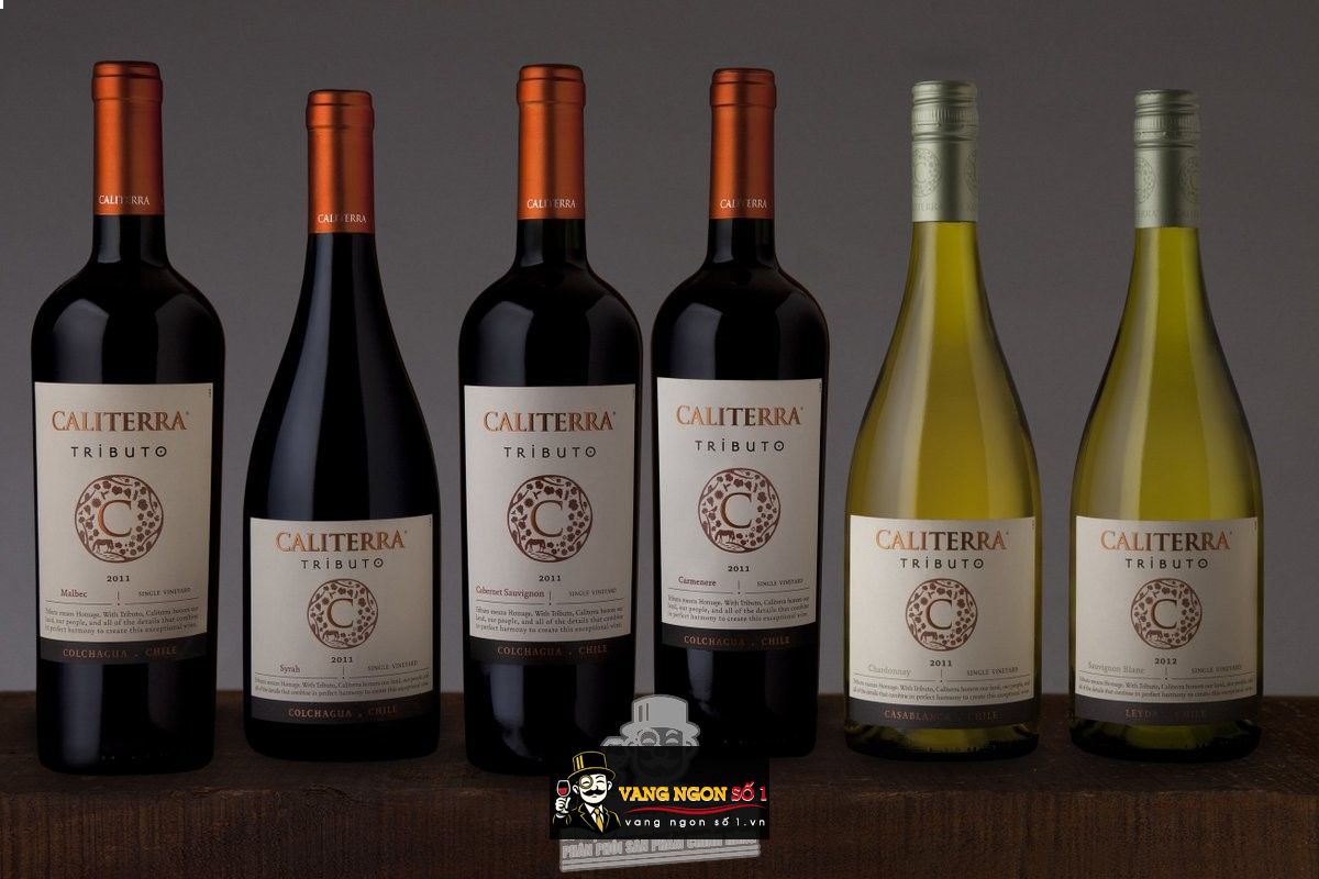 Hình ảnh có liên quan