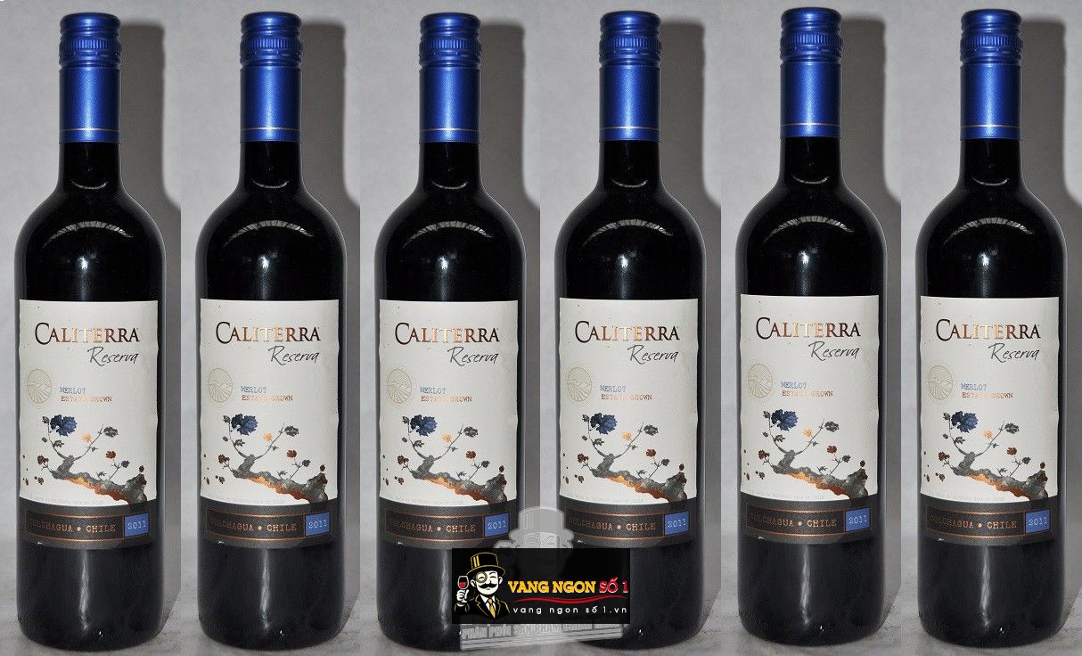 Kết quả hình ảnh cho caliterra reserva merlot