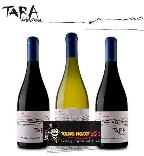 Kết quả hình ảnh cho vang chile tara atacama syrah