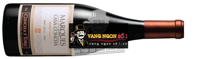 Kết quả hình ảnh cho marques casa concha pinot noir