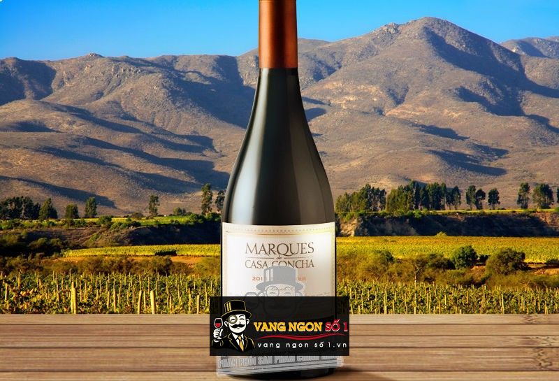 Kết quả hình ảnh cho marques casa concha pinot noir