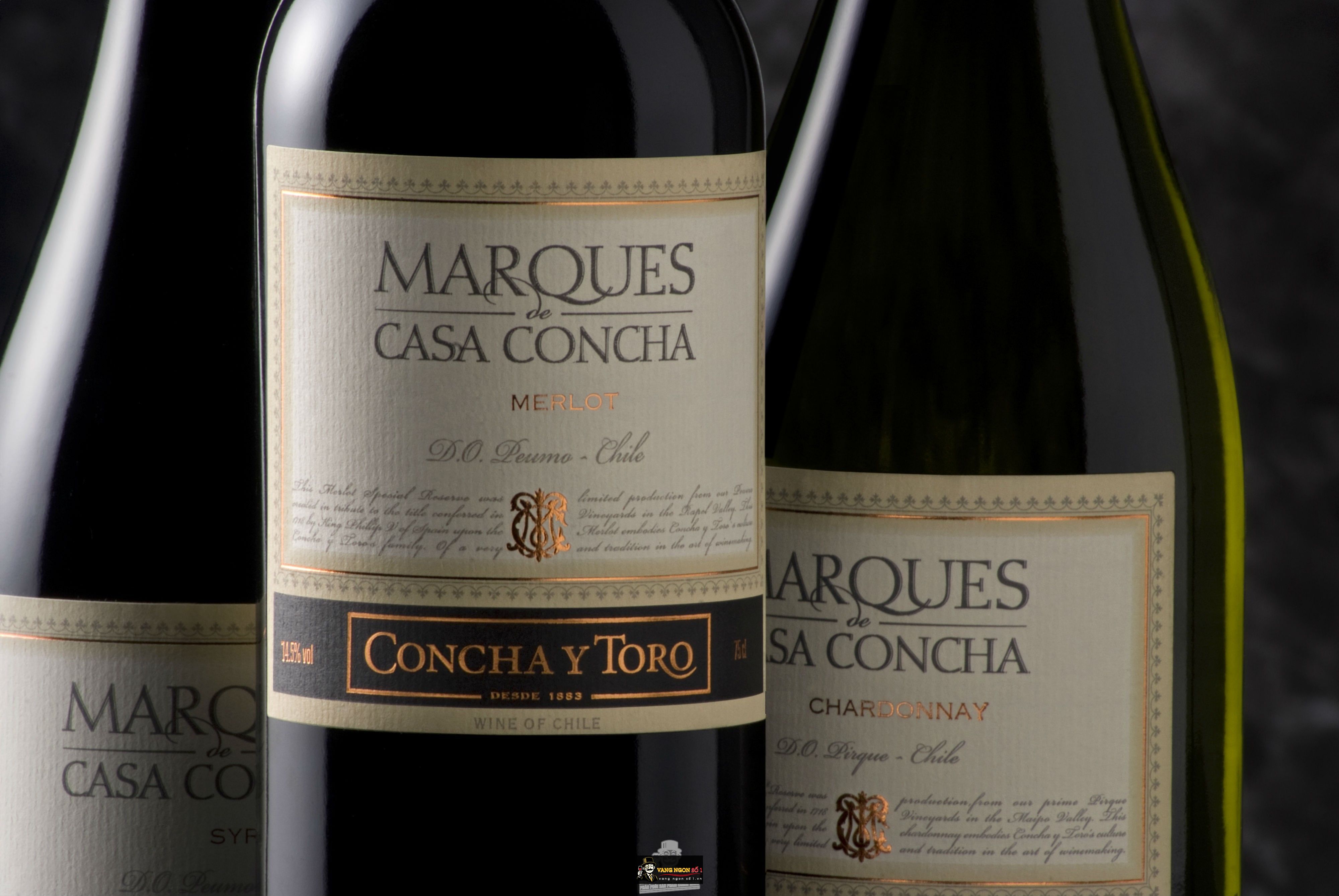 Kết quả hình ảnh cho marques casa concha merlot
