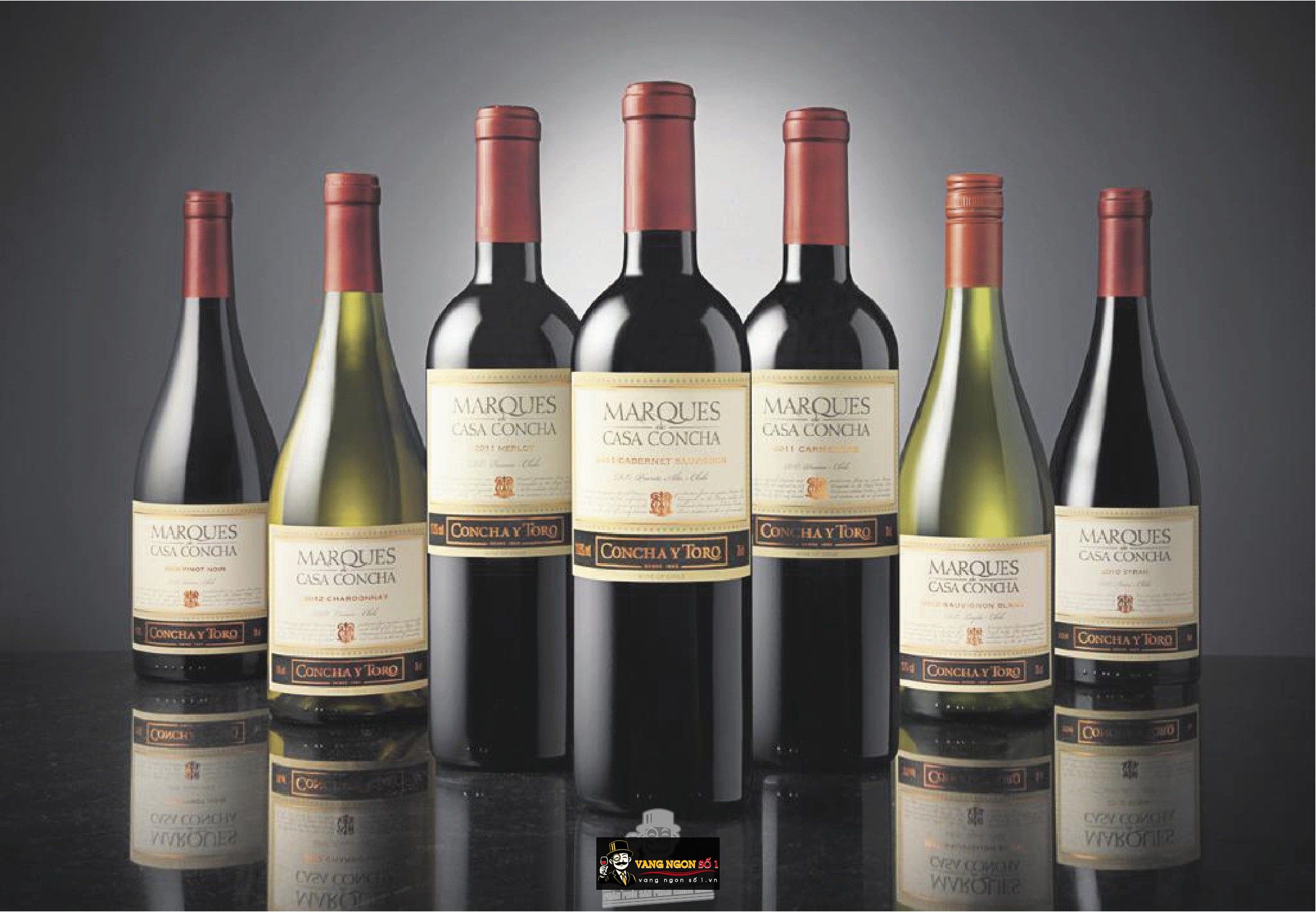 Kết quả hình ảnh cho marques casa concha sauvignon blanc