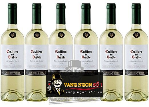 Kết quả hình ảnh cho casillero del diablo sauvignon blanc