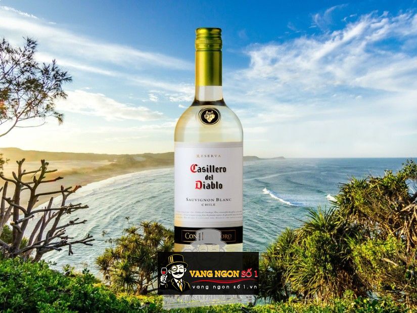 Kết quả hình ảnh cho casillero del diablo sauvignon blanc