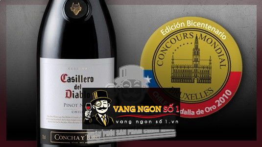 Kết quả hình ảnh cho casillero del diablo pinot noir
