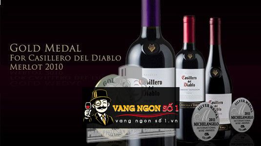 Kết quả hình ảnh cho casillero del diablo merlot2015