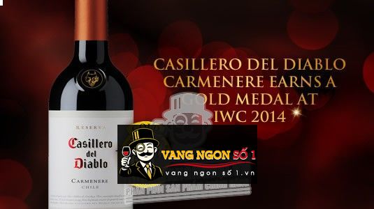 Kết quả hình ảnh cho casillero del diablo carmenere 2015