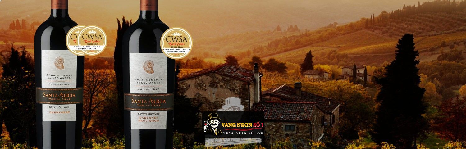 Kết quả hình ảnh cho santa alicia gran reserva cabernet