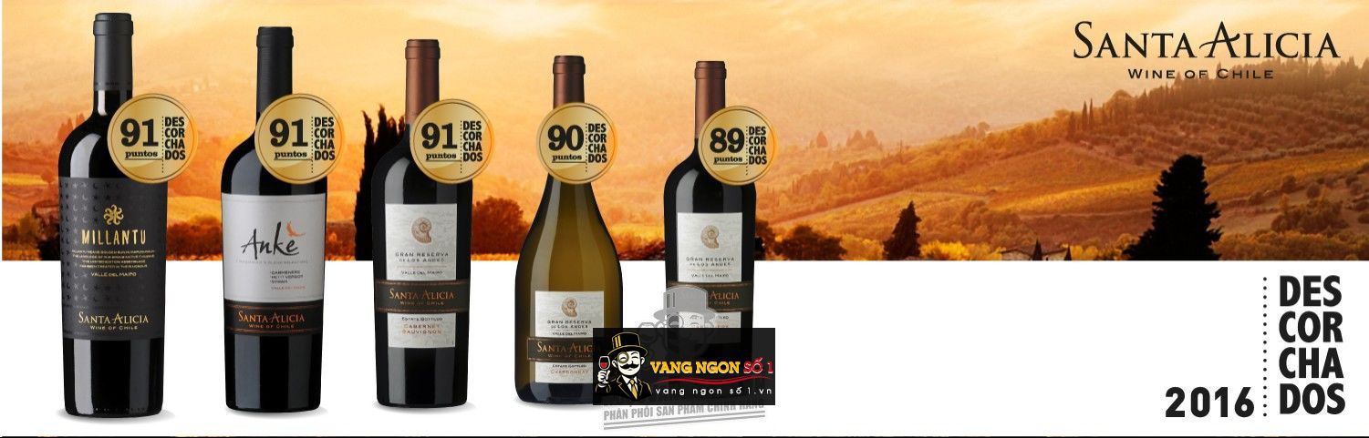 Kết quả hình ảnh cho santa alicia gran reserva cabernet