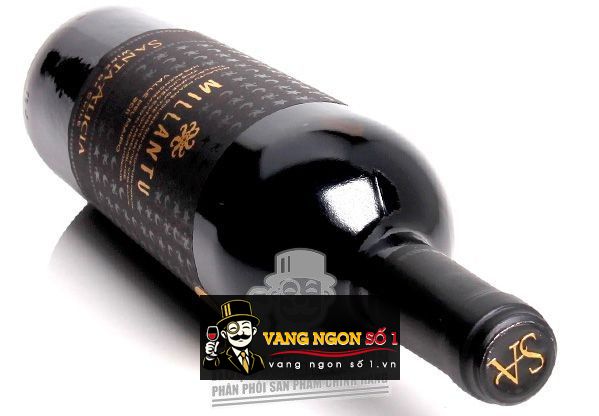 Kết quả hình ảnh cho vang chile millantu