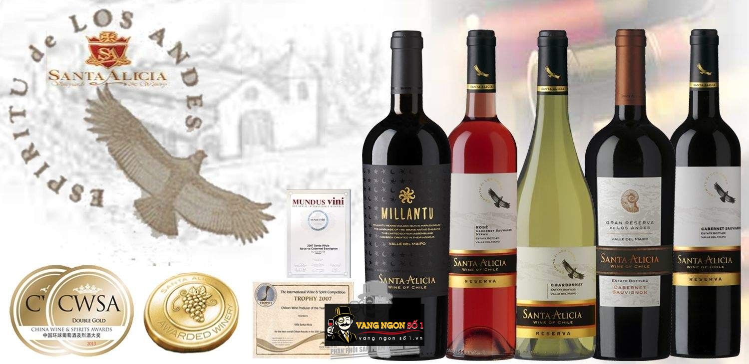 Kết quả hình ảnh cho vang chile millantu