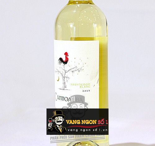 Kết quả hình ảnh cho vang chile cantoalba sauvignon blanc