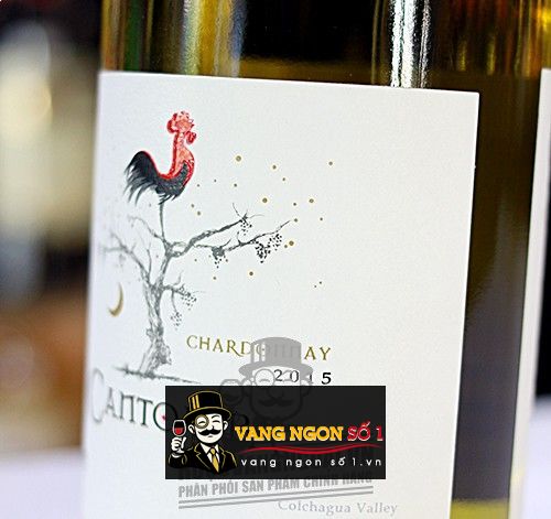 Kết quả hình ảnh cho cantoalba chardonnay