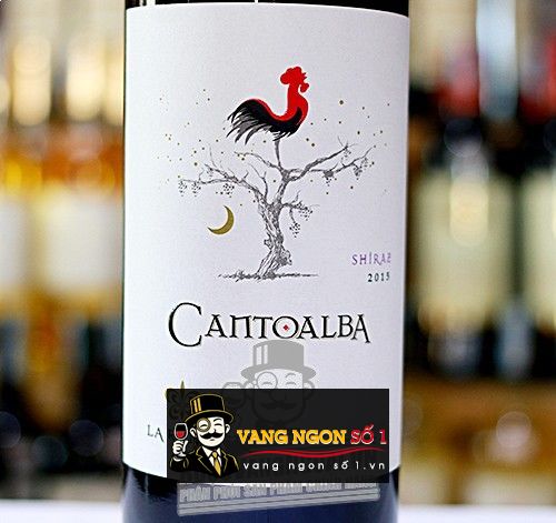 Kết quả hình ảnh cho vang chile cantoalba shiraz