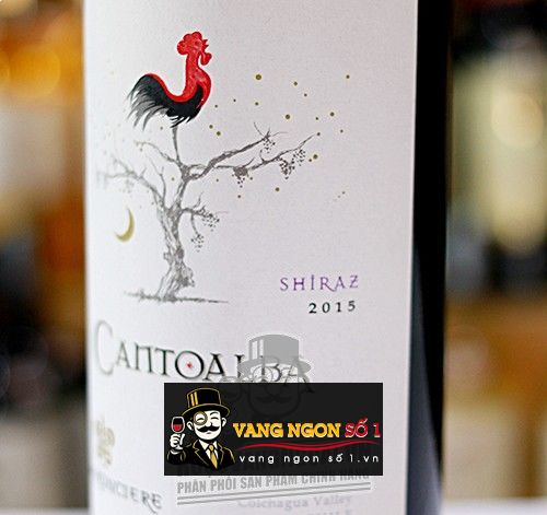 Kết quả hình ảnh cho vang chile cantoalba shiraz