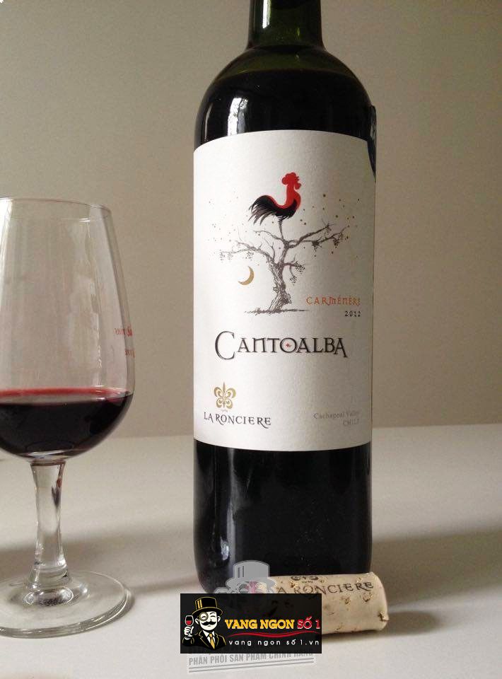 Kết quả hình ảnh cho vang chile cantoalba carmenere