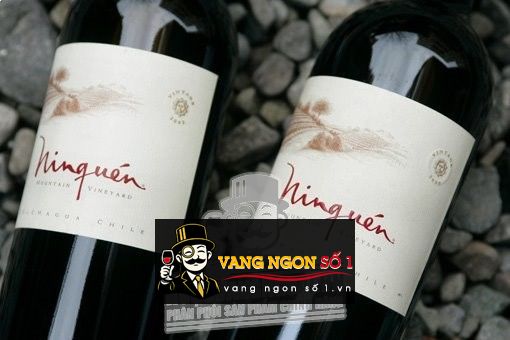 Kết quả hình ảnh cho montgras ninquen