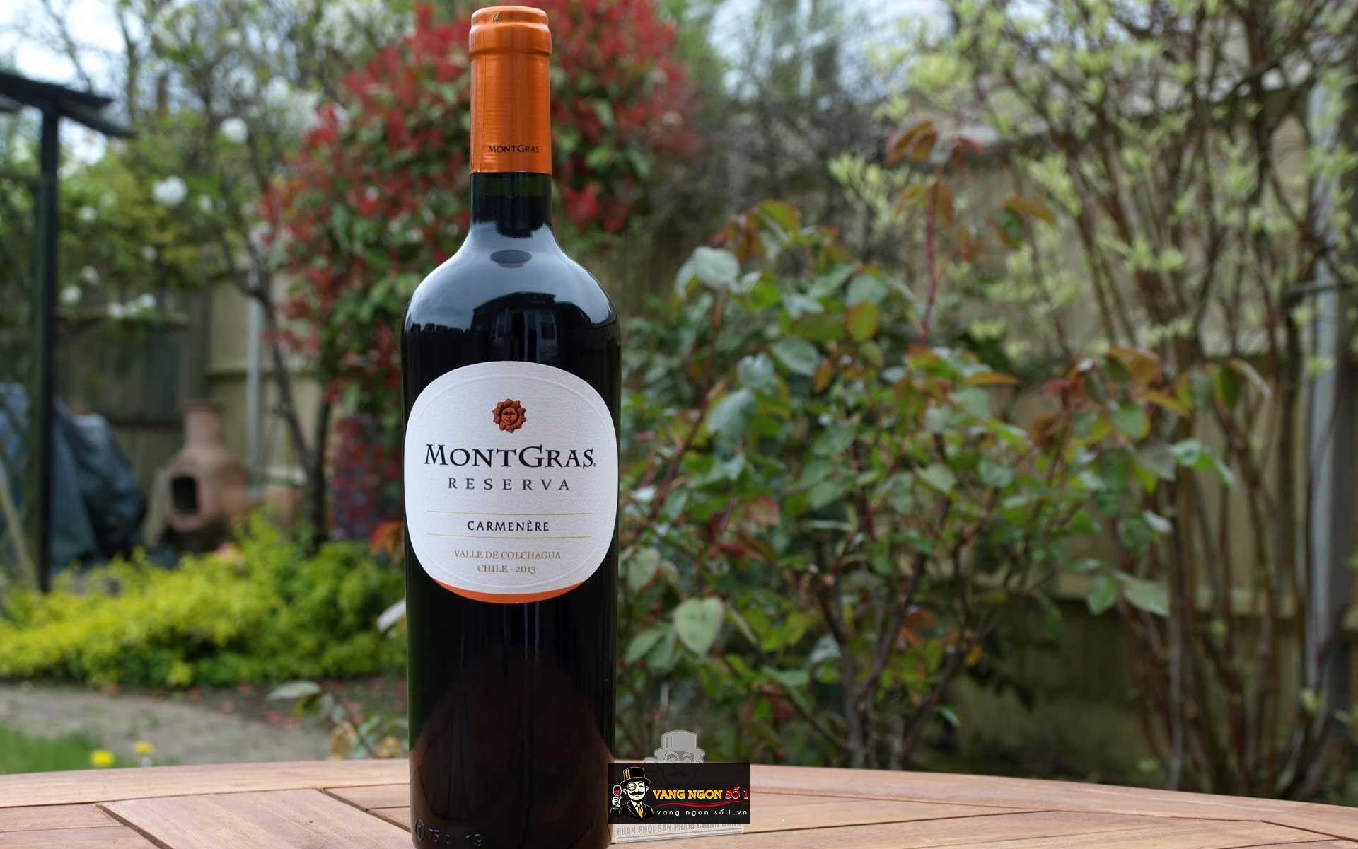 Kết quả hình ảnh cho montgras reserva carmenere