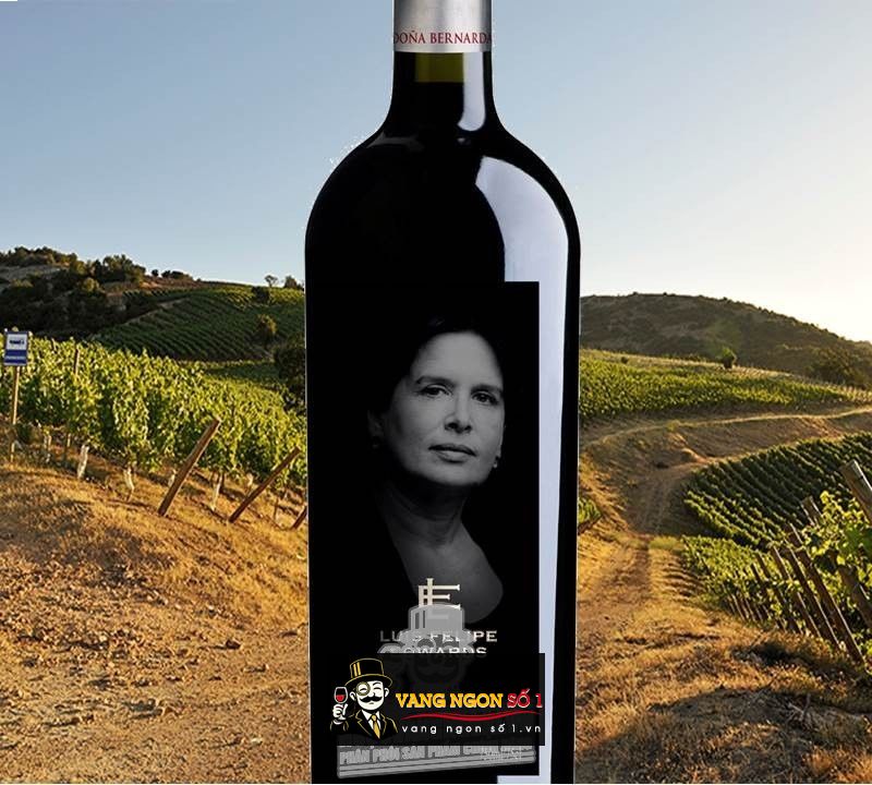 Kết quả hình ảnh cho vang chile dona bernarda cabernet sauvignon