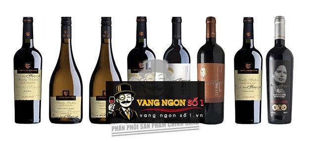 Kết quả hình ảnh cho vang chile dona bernarda cabernet sauvignon