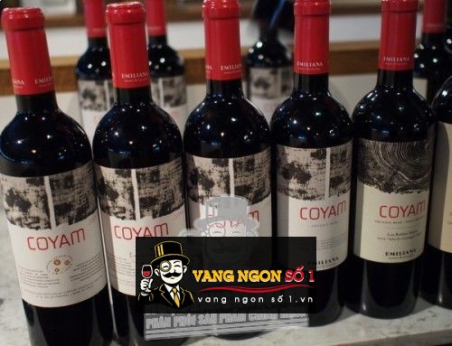 Kết quả hình ảnh cho coyam emiliana