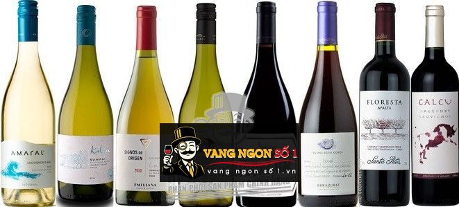 Kết quả hình ảnh cho signos de origen chardonnay