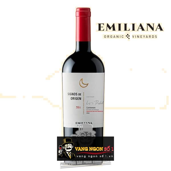 Kết quả hình ảnh cho vang chile signos de origen carmenere