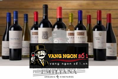 Hình ảnh có liên quan