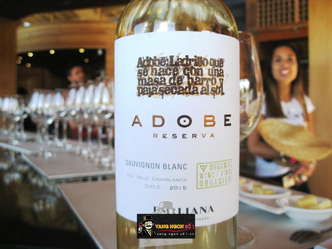 Kết quả hình ảnh cho adobe sauvignon blanc