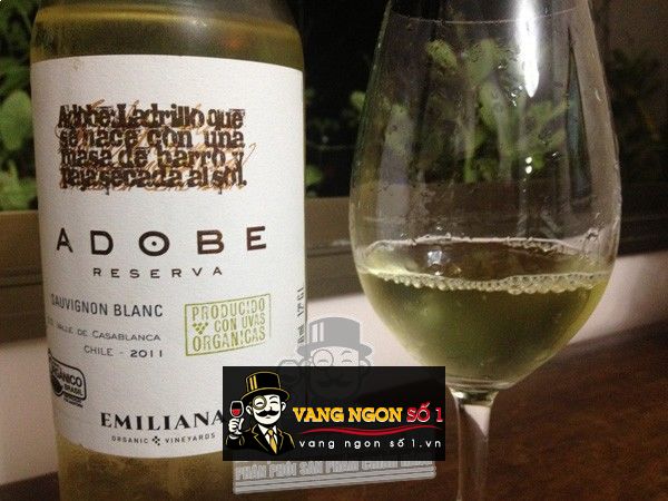 Kết quả hình ảnh cho adobe sauvignon blanc