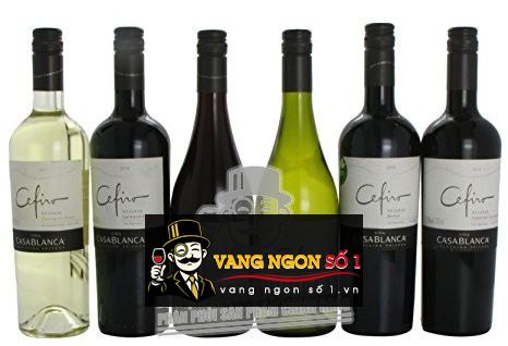 Kết quả hình ảnh cho vang chile casablanca cefiro cabernet sau