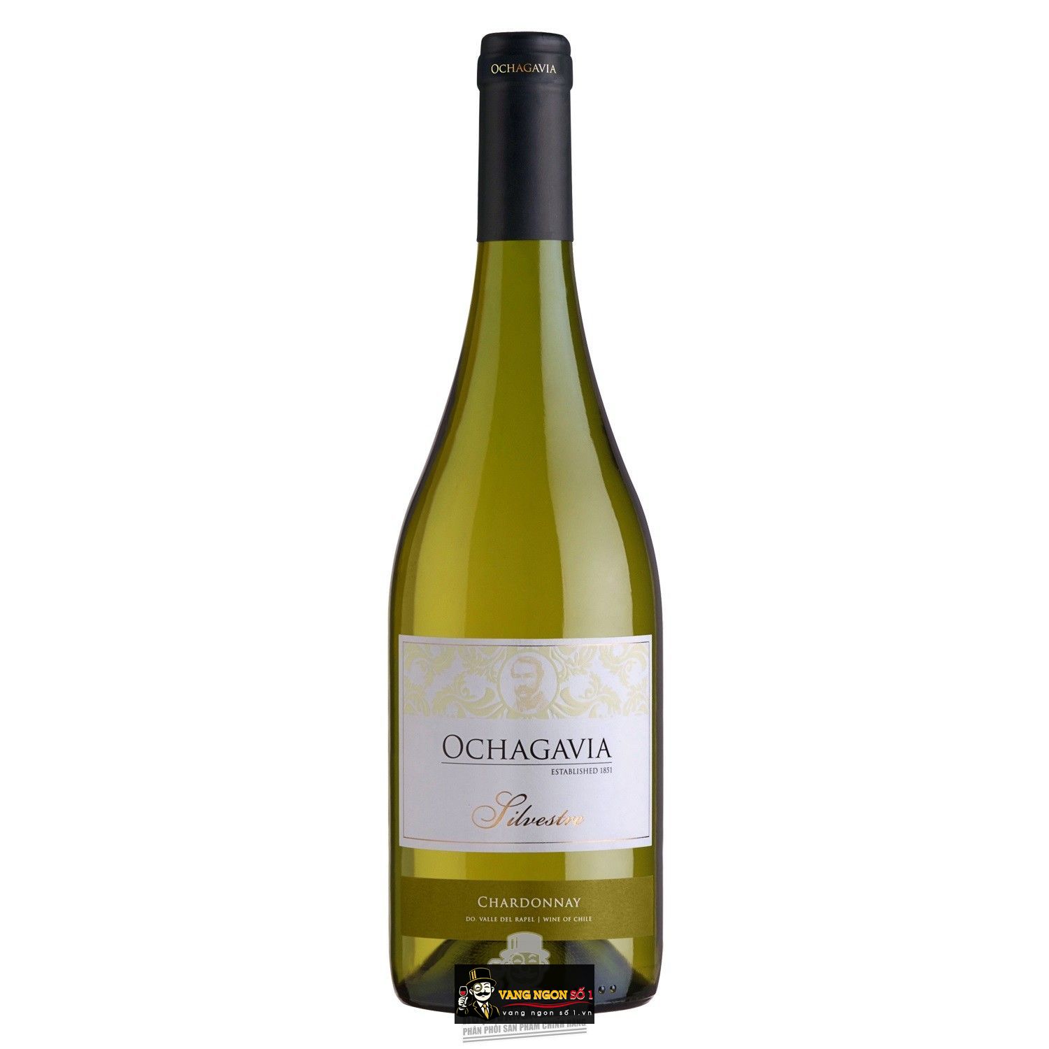 Kết quả hình ảnh cho vang chile ochagavia silvestre chardonnay