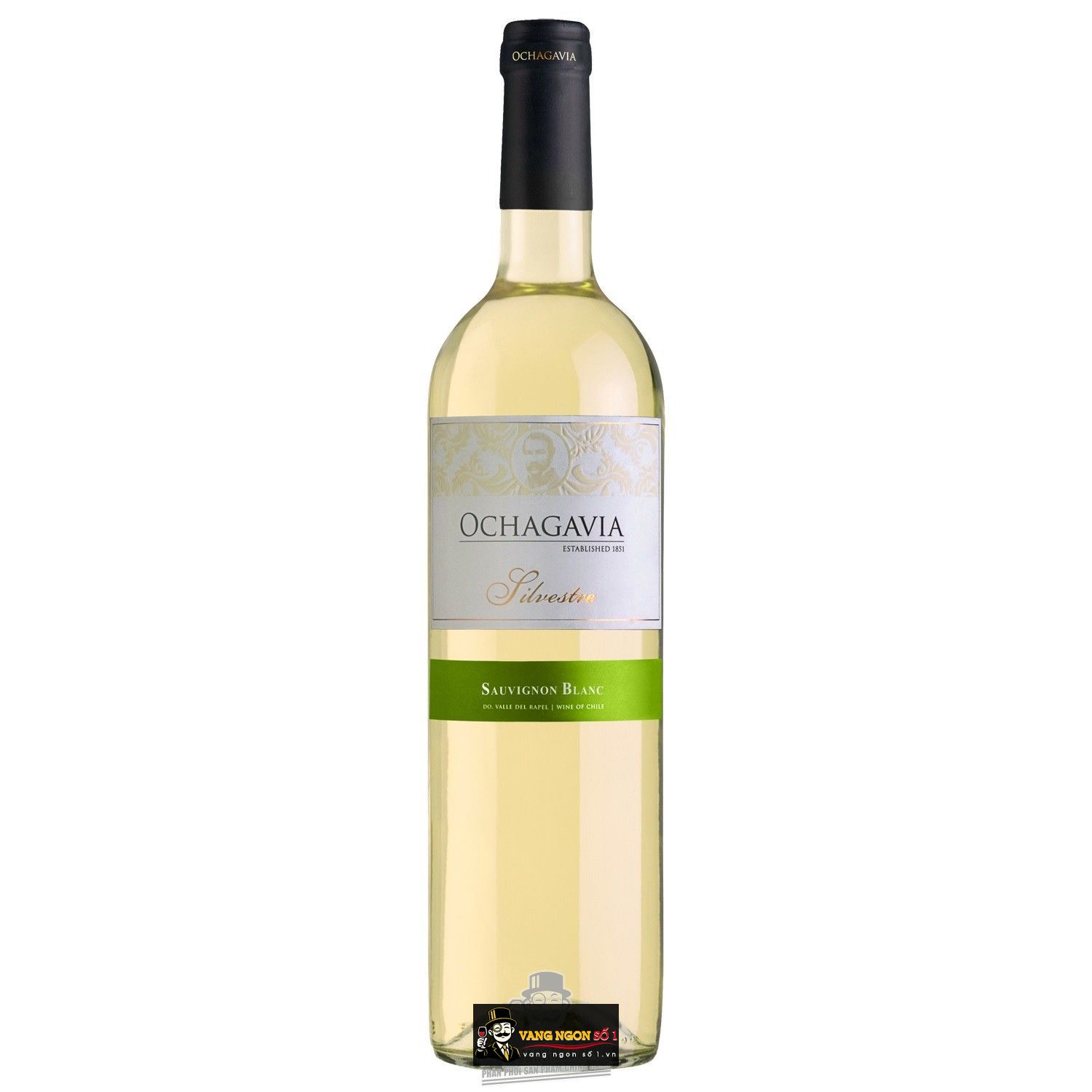 Kết quả hình ảnh cho vang chile ochagavia silvestre sauvignon blanc