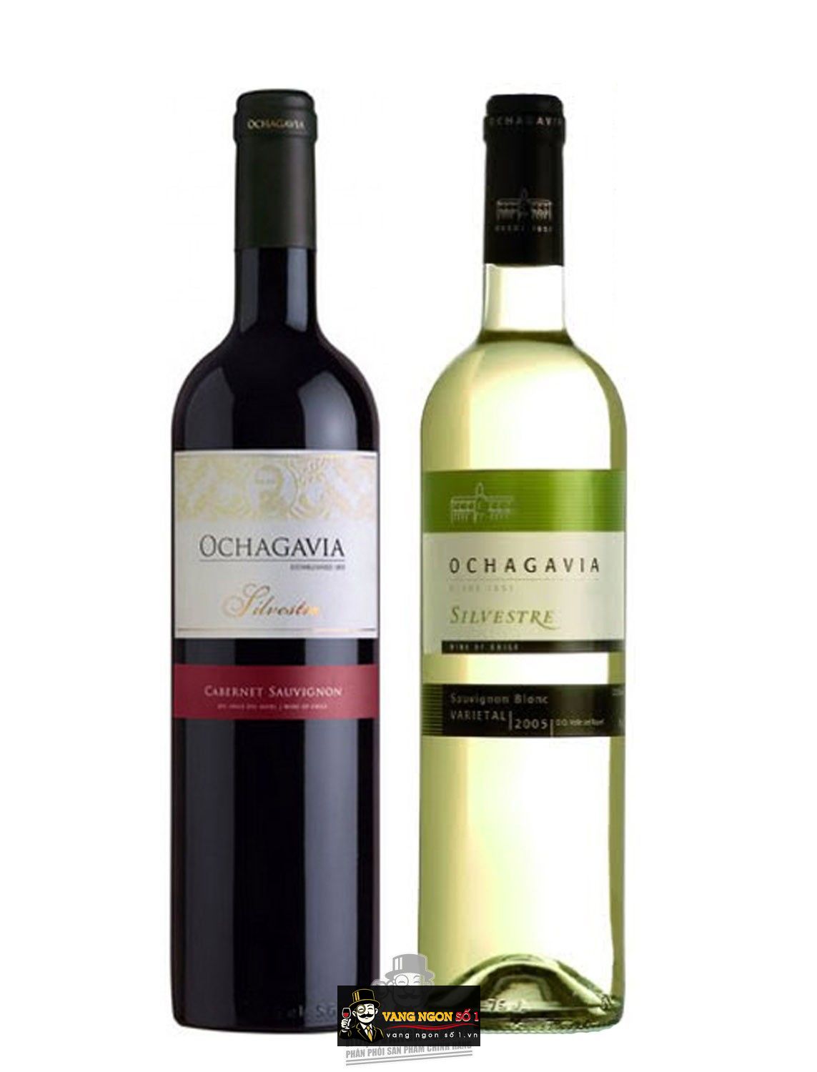 Kết quả hình ảnh cho vang chile ochagavia silvestre sauvignon blanc