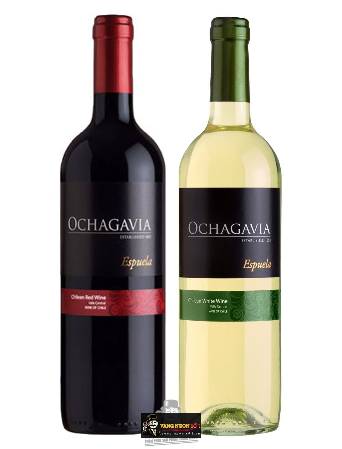 Káº¿t quáº£ hÃ¬nh áº£nh cho vang chile ochagavia espuela white
